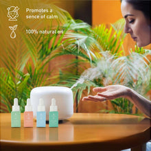 Load image into Gallery viewer, Eco-Friendly Laundry &amp; Wellness Bundle – Detergent Sheets, Wool Dryer Balls, and Essential Oils
